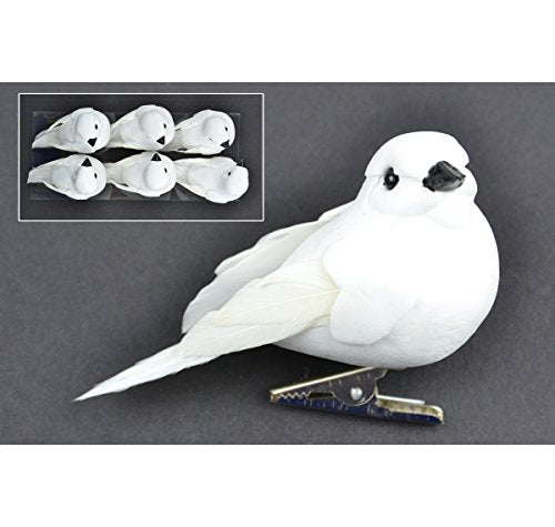 Touch of Nature 21237 6-Piece Mushroom/Feather Dove Assortment on Clip in Acetate Box for Arts and Crafts, 3-Inch, White