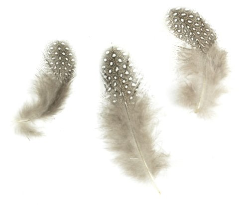 Touch of Nature 38138 Guinea Fowl Feathers Natural, 4 grams