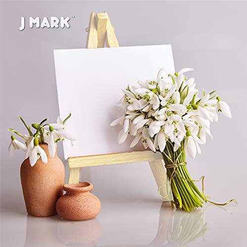 J MARK Art Canvas Paint Set Supplies – Mini Canvas Acrylic Painting Kit with Wood Easel, 6x8 inch Canvases, Non Toxic Washable Paints, Brushes, Palette and Color Mixing Guide