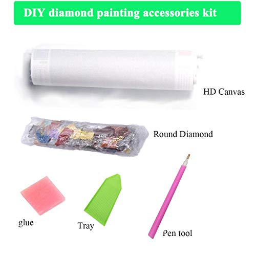 DIY 5D Diamond Painting Kits for Adults Full Round Drill Crystal Embroidery Cross Stitch Mosaic Arts Craft Home Wall Décor (30X40cm, Hummingbird)