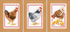 Vervaco Cross Stitch, Chickens (18 Count) 3/Pkg