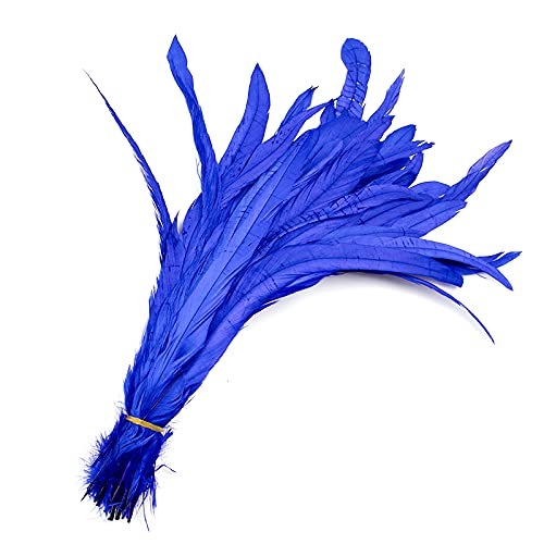 FEARAFTS Natural Rooster Feathers for Crafts Hats Costume Decoration Pack of 50 (Royal Blue)