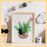 5 Pcs Embroidery Starter Kit with Patterns and Instructions, DIY Adult Beginner Cross Stitch Set with Pattern Plant Cat Embroidery, Hoops Needles Threads