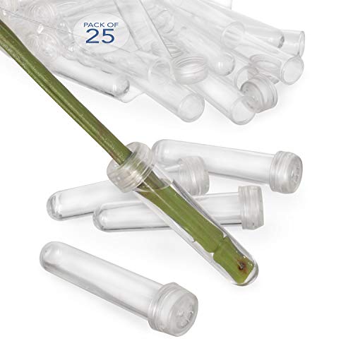 Royal Imports Floral Water Tubes/Vials for Flower Arrangements, Clear - 3" (1/2" Opening) - Standard - 25/Pack - w/Caps