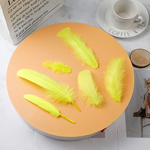 Larryhot Yellow Craft Feathers Bulk - 240pcs 6 Style Mixed Natural Feathers for Wedding Home Party, Dream Catcher Supplies and DIY Crafts (Yellow)