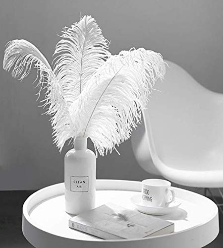 Hollosport 30PCS Bulk White Ostrich Feathers 10-12 Inches for Centerpieces Party Wedding Home Decorations Dream Catchers Vases Crafts Christmas Tree (White)
