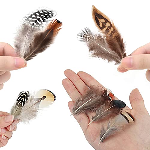 300pcs 10 Style Natural Feathers Assorted Mixed Feathers for Dream Catcher Crafts Decoration … (10 Styles/300 Pcs)