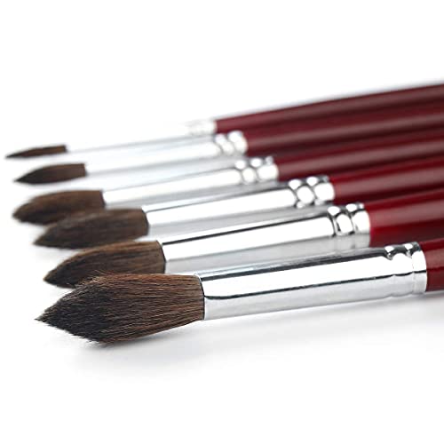 Transon 6pcs Natural Hair Long-Handle Round Paint Brush Set for Watercolor Gouache Ink Acrylic Painting