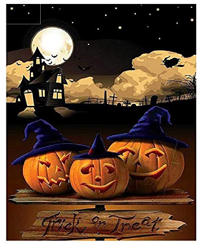 ACANDYL Paint by Number Halloween DIY Painting Paint by Number Kits for Adults Kids DIY Canvas Painting by Numbers Acrylic Painting Arts Craft Decoration Paint by Numbers Pumpkin with Moon 16x20 Inch