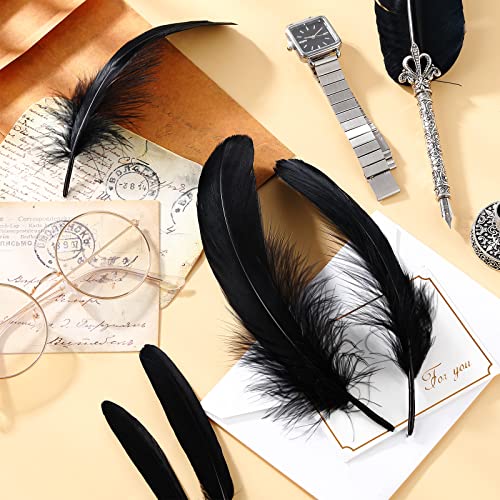 500 Pcs Halloween Black Assorted Crafts Feathers 4 Styles Mixed Feathers Black Feathers for Crafts Chicken Turkey Goose Feathers Supplies for DIY Wedding Home Party Costume Clothing Accessories