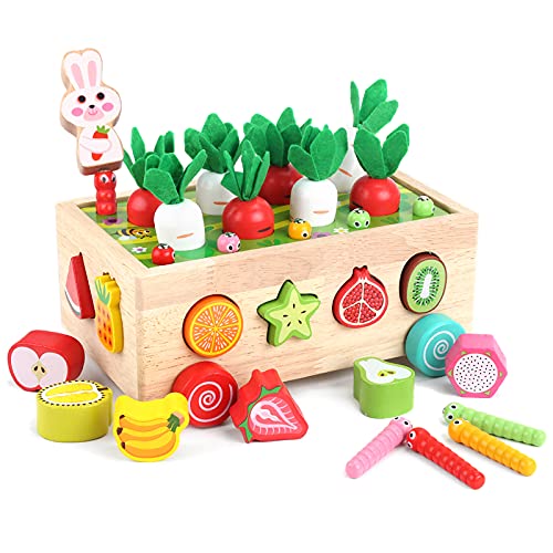 Toddlers Montessori Wooden Educational Toys for Baby Boys Girls Age 2 3 4 Year Old, Shape Sorting Toys Gifts for Kids 2-4, Wood Preschool Learning Fine Motor Skills Game