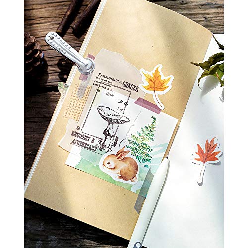 138 Pcs/3 Sets Paper Stickers Self Adhesive Craft Sticker Irregularly Shaped Animals/Plants Envelope/Bag Seal with Box by EORTA for Diary Planner Decor Scrapbooking DIY Gift, Autumn Forest Theme