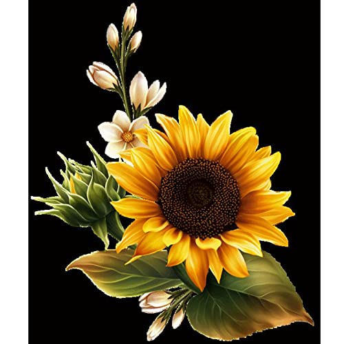 MXJSUA Diamond Painting Kits for Adults, Square Full Drill Diamond Painting Kits 5D DIY Diamond Painting by Number Kits Diamond Art Kits for Home Wall Decor Magnolia Flower Sunflower 12x16 Inch