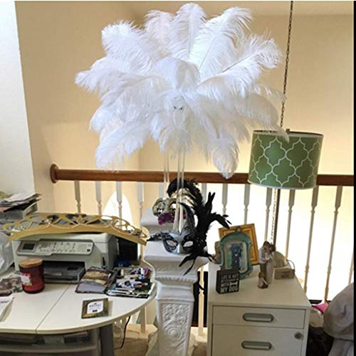 Shekyeon 14-16inch 35-40cm Feathers Plumes for Table Decoration Pack of 10 (White)