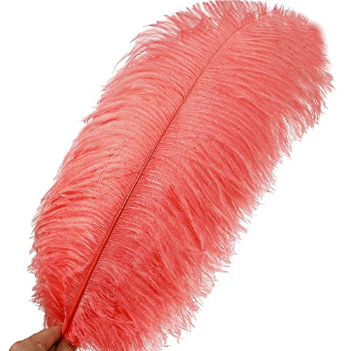 Larryhot Red Large Ostrich Feathers - 10pcs Feathers for Vase Decoration,Wedding Party Centerpieces and Home Decorations (Sunset Red)