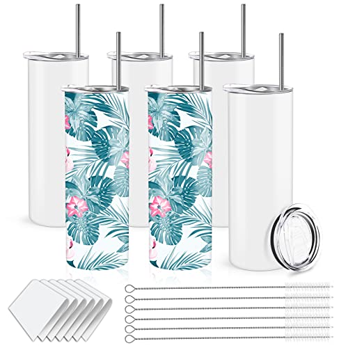 20 oz Sublimation Tumblers Skinny Straight. Double Wall Insulated Stainless Steel Sublimation Blanks White 20oz, with Lid, Straw, straw brush,Polymer Coating for Heat Transfer (6 Pack)
