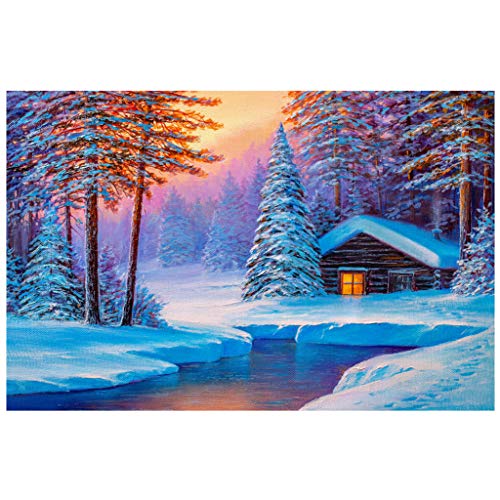 GZKLSMY DIY Diamond Painting Kits for Adults, Snow & Sunset Tree Full Drill 5D Diamond Art Painting Pictures Arts Craft for Home Wall Decor Gift