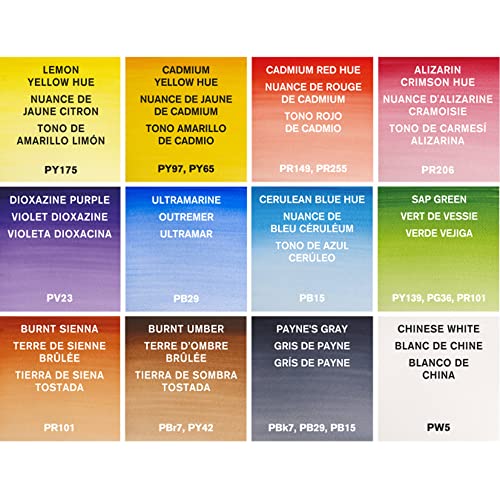 Winsor & Newton 390639 Cotman Water Colour Paint Field Box Set, Set of 12, Half Pans