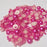 enForten 500pcs Rose Pink Assorted Mixed Sizes Flat Back Faux Imitation Pearl Cabochon