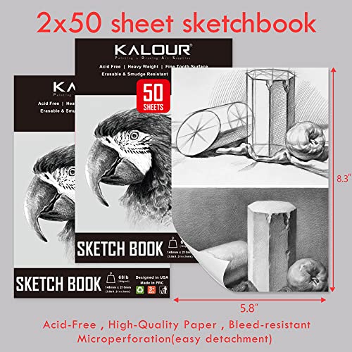 KALOUR 52-Pack Sketch Drawing Pencils Kit with Two Sketchbook,Tin Box,Include Graphite,Charcoal and Artists Tools,Pro Art Drawing Supplies for Adults Beginner Kids