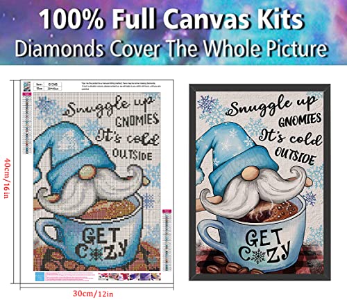LWZAYS Christmas Diamond Painting Kits for Adults,Diamond Art for Adults,Diamond Dots Gem Art for Aesthetic Room Decor(Winter Gnome 12x16 Inch)