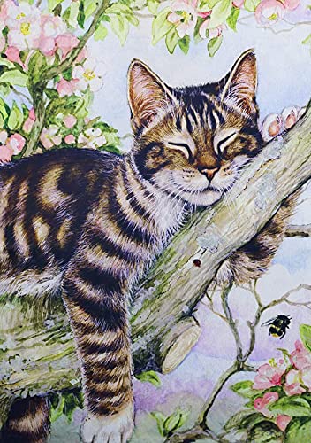 NAIMOER DIY Cat Diamond Painting Kits for Adults, Round Full Drill Cat Diamond Painting Animals Diamond Art Kits Gem Painting Crafts for Home Wall Decor 12x16 Inch (Cat)