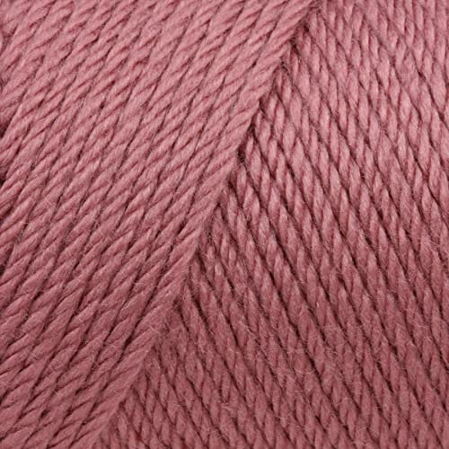 Caron Simply Soft Plum Wine Yarn - 3 Pack of 170g/6oz - Acrylic - 4 Medium (Worsted) - 315 Yards - Knitting/Crochet