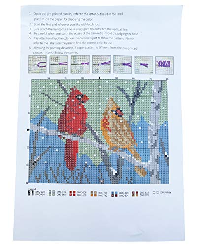 MeetBSelf Latch Hook Kits Rug, Cardinal Crocheting Carpet Rug with Printed Canvas for Kids Adults Beginners
