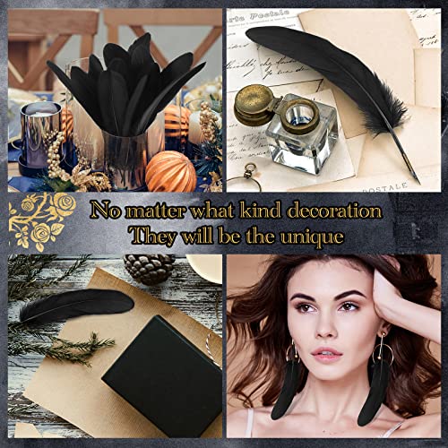 Canlierr 500 Pcs 6-8 Inch Natural Goose Feathers Goose Natural Feathers for DIY Halloween Decorations, Cosplay, Gothic Costumes, Crafts (Black)