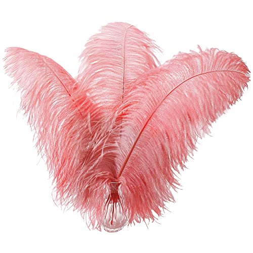 Larryhot Red Large Ostrich Feathers - 10pcs Feathers for Vase Decoration,Wedding Party Centerpieces and Home Decorations (Sunset Red)