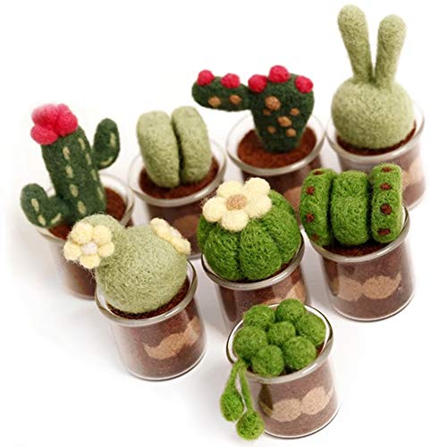 Full Range of Needle Felting Kit, Kissbuty Cactus Wool Felted Set for Adults and Beginners Including Wool Roving for 8 Succulents, Foam Mat, Glass Pots, Needles, Finger Guards Tools Kit