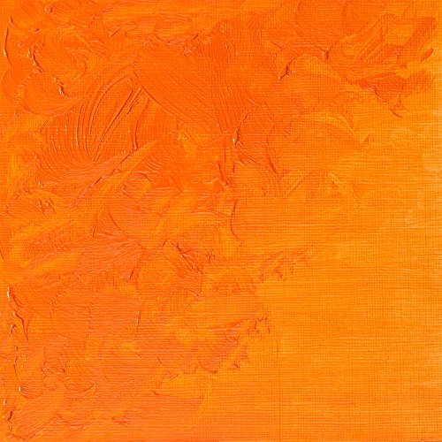 Winsor & Newton Winton Oil Color, 37 ml (1.25-oz), Cadmium Orange Hue