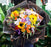 DODXIAOBEUL 20 Sheets Phnom Penh Flower Wrapping Paper,Waterproof Florist Bouquet Paper,DIY Crafts,Single Colors 23 x 23 inch(Golden Edge-Black)