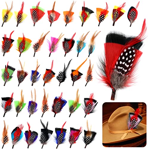 Geosar 36 Pieces Hat Feathers for Fedora Colorful Large Hat Band Real Feathers Pack Xmas Hat Pin Feathers for DIY Christmas Decorations Men Women Kids Cowboy Western Party Accessories