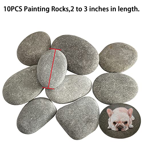 10PCS Painting Rocks WAFJAMF DIY Flat River Rocks for Painting Crafts 2”-3.2” Smooth Medium Stone
