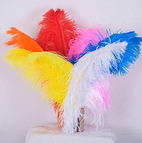 Hollosport 30PCS Bulk White Ostrich Feathers 10-12 Inches for Centerpieces Party Wedding Home Decorations Dream Catchers Vases Crafts Christmas Tree (White)