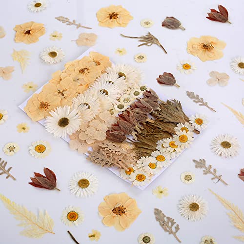 100 PCS Real Dried Pressed Flowers Leaves Natural Plant Herbarium for DIY Resin Mold Jewelry Making Craft (10 Styles)-White