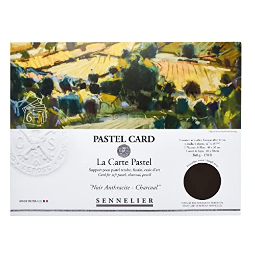 Sennelier La Carte Pastel Card Pochette, 15.75" x 11", Monochromatic Charcoal