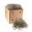Royal Imports Preserved Natural Spanish Moss , Fresh Dried Shredded Loose Chunks, 3 LB Bulk Case