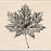 Inkadinkado Maple Leaf Wood Stamp