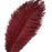 Sowder 20pcs Natural 10-12inch(25-30cm) Ostrich Feathers Plume for Wedding Centerpieces Home Decoration(Burgundy)