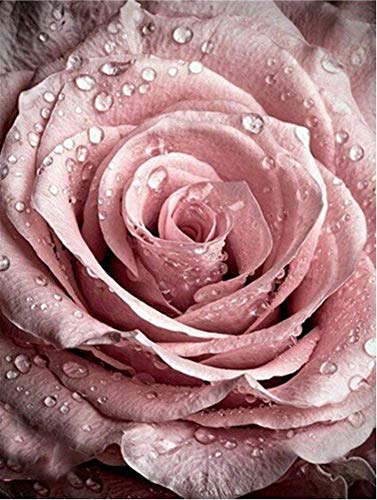 Pink Rose Diamond Painting Kit - pigpigboss 5D Full Diamond Painting by Numbers - Flower Diamond Painting Dots Kit Rose Painting Arts Crafts Home Decor Gift for Kids Adults (11.8 x 15.7 inches)