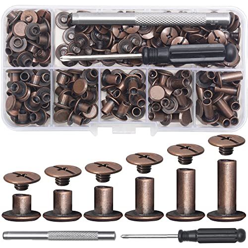 YORANYO 110Sets Chicago Screws Leather Rivets Assorted Screw Rivets M5 Chicago Binding Screws for Decorate and Repair Leather Craft Belt Bag Shoes Purse Bookbinding (Antique Copper, M5*4,5,6,8,10,12)