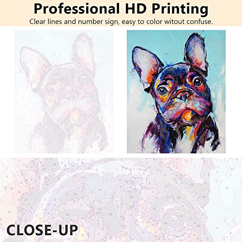 TISHIRON Oil Hand Painting French Bulldogs DIY Paint by Numbers Dog Portrait Painting on Canvas for Adults Beginner Kids Drawing with Brushes Christmas Gift Wall Decorations 16" W x 20" L