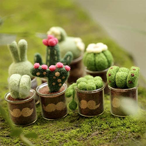 Full Range of Needle Felting Kit, Kissbuty Cactus Wool Felted Set for Adults and Beginners Including Wool Roving for 8 Succulents, Foam Mat, Glass Pots, Needles, Finger Guards Tools Kit