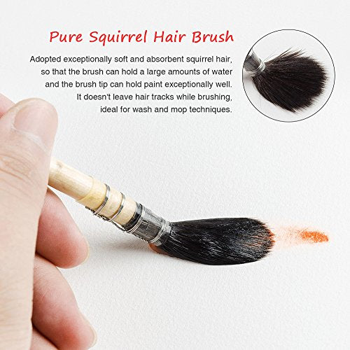 Paul Rubens Professional Watercolor Paint Brush, Size 4 Wash/Mop Round Squirrel Hair Paint Brush for Art Painting, Fine Detailing, Acrylic, Gouache, Oil