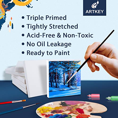 Artkey Mini Canvas, 3x3 inch 24-Pack Small Canvases for Painting, 100% Cotton 2/5 Inch Profile Square Canvas Painting Canvas for Acrylics Oil Watercolor Painting & Signs Crafts