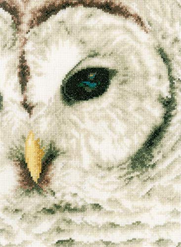Lanarte PN-0163781 Counted Cross Stitch Kit: Owl (Evenweave), NA, 19 x 26cm
