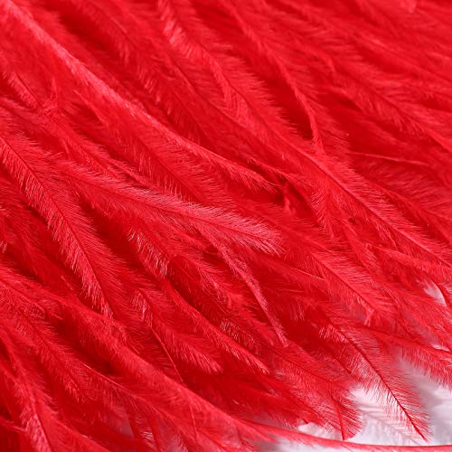 Natural Ostrich Feather Fringe Trim - Feathers Sewing Crafts Decor for Dress Costume 4-6 inches 2 Yards Erikord(Red)