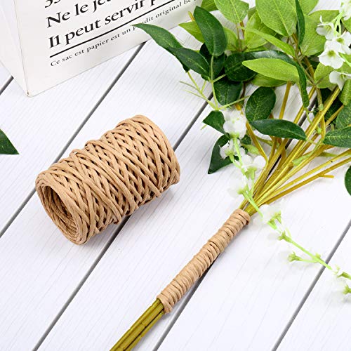 Syhood 65 Feet Floral Wire Vine Wire Bind Wire Rustic Craft Wire Wrapping Wire for Flower Bouquets (Khaki)